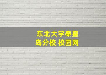 东北大学秦皇岛分校 校园网